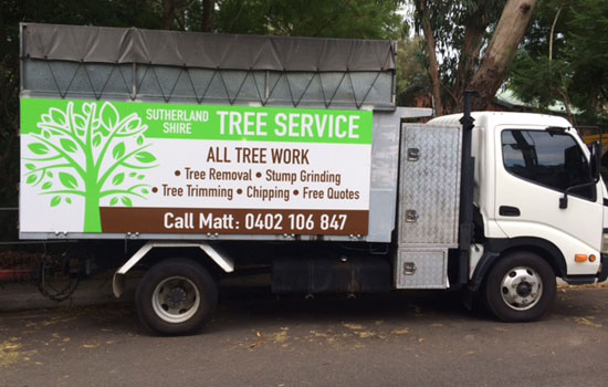 Sutherland Shire Tree Services